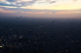 Tokyo from Above dusk